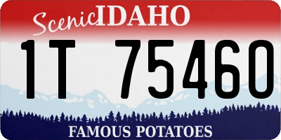 ID license plate 1T7546O