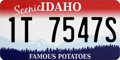 ID license plate 1T7547S