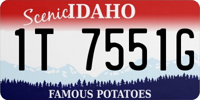 ID license plate 1T7551G