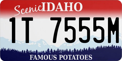 ID license plate 1T7555M