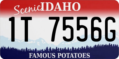 ID license plate 1T7556G