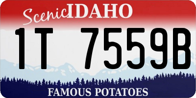 ID license plate 1T7559B
