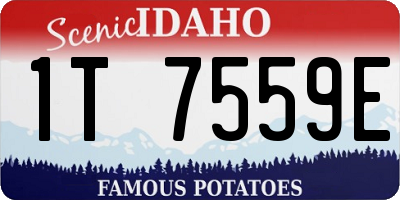 ID license plate 1T7559E
