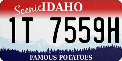 ID license plate 1T7559H