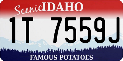 ID license plate 1T7559J