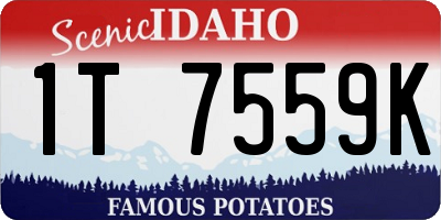 ID license plate 1T7559K