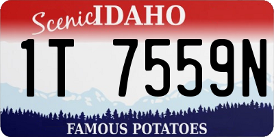 ID license plate 1T7559N