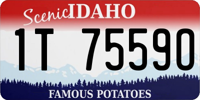 ID license plate 1T7559O