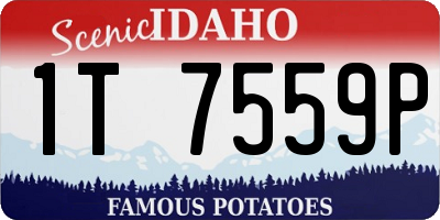 ID license plate 1T7559P