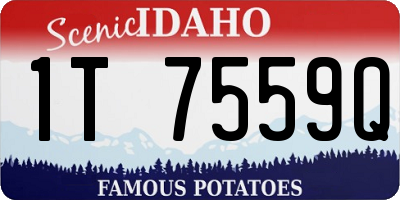 ID license plate 1T7559Q