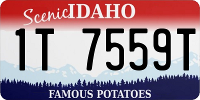 ID license plate 1T7559T