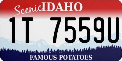 ID license plate 1T7559U