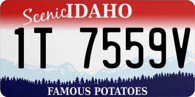 ID license plate 1T7559V