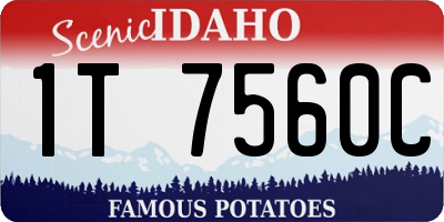 ID license plate 1T7560C