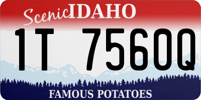 ID license plate 1T7560Q