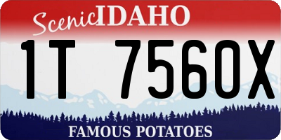 ID license plate 1T7560X