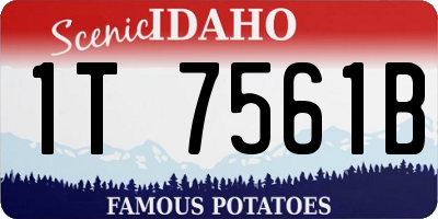 ID license plate 1T7561B