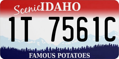 ID license plate 1T7561C