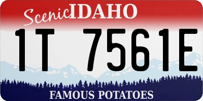 ID license plate 1T7561E