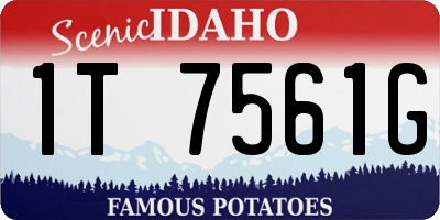 ID license plate 1T7561G