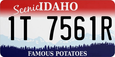 ID license plate 1T7561R