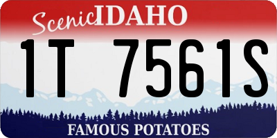ID license plate 1T7561S