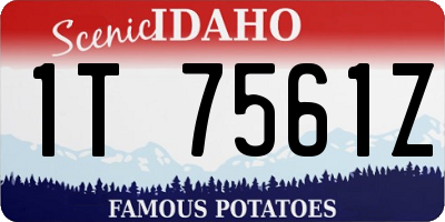 ID license plate 1T7561Z