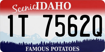 ID license plate 1T7562Q