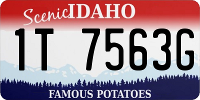 ID license plate 1T7563G