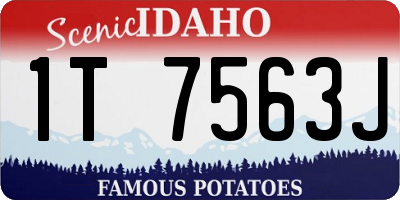 ID license plate 1T7563J