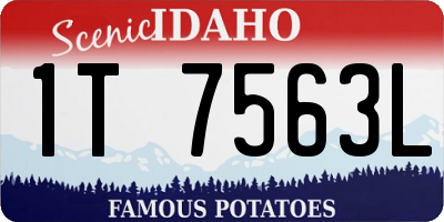 ID license plate 1T7563L