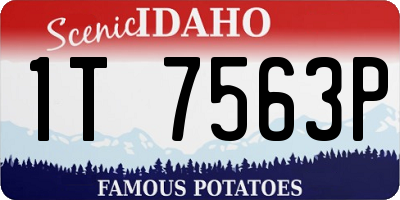 ID license plate 1T7563P