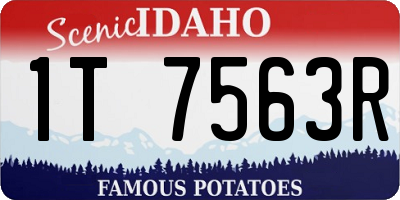 ID license plate 1T7563R