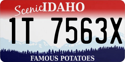 ID license plate 1T7563X