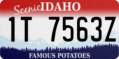 ID license plate 1T7563Z