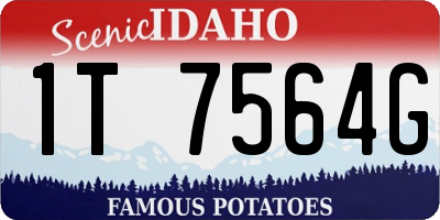 ID license plate 1T7564G