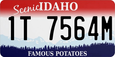 ID license plate 1T7564M