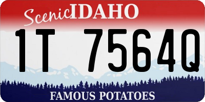ID license plate 1T7564Q