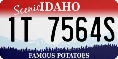 ID license plate 1T7564S