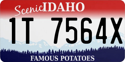 ID license plate 1T7564X
