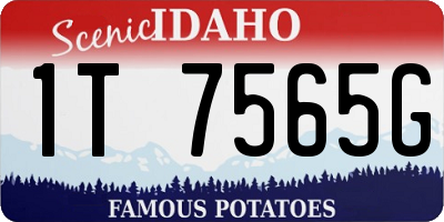 ID license plate 1T7565G