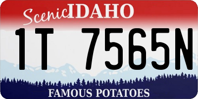 ID license plate 1T7565N