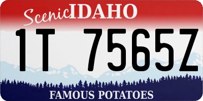 ID license plate 1T7565Z
