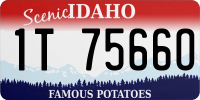 ID license plate 1T7566O
