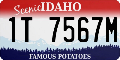 ID license plate 1T7567M