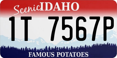ID license plate 1T7567P
