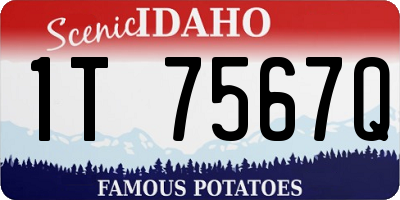 ID license plate 1T7567Q
