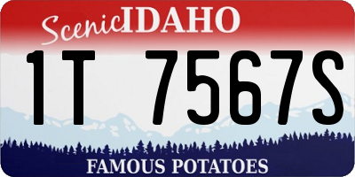 ID license plate 1T7567S