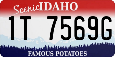 ID license plate 1T7569G