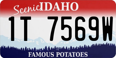 ID license plate 1T7569W